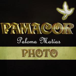 Pamacor